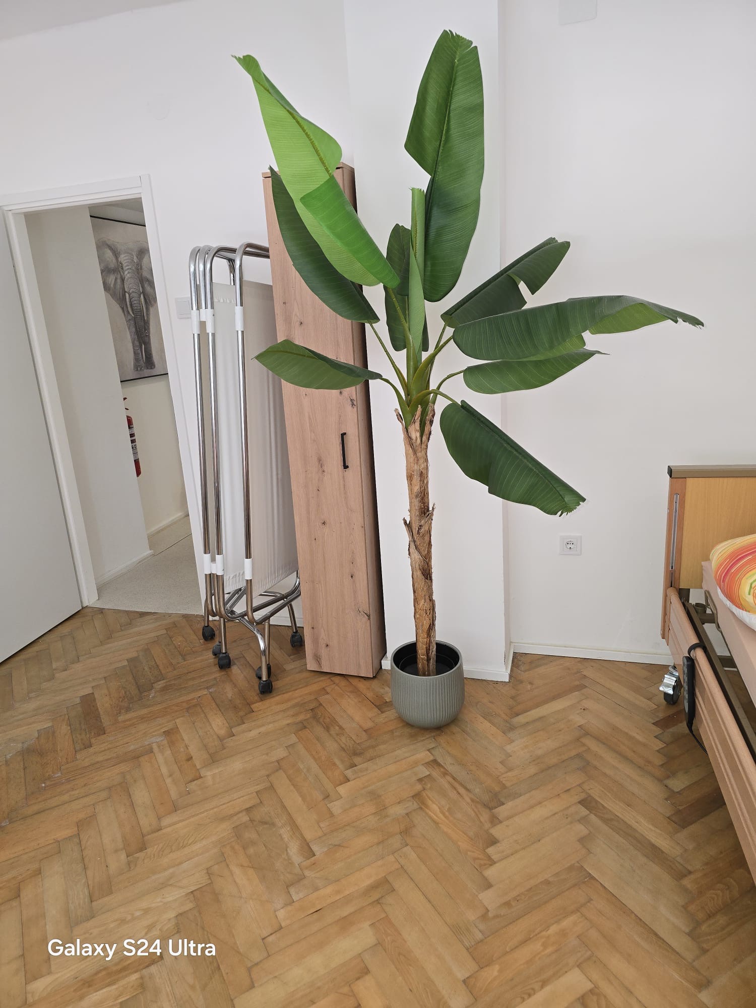 Alisina Oaza Zagreb palijantiva